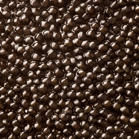 Caviar Baeri de la Maison Kaviari