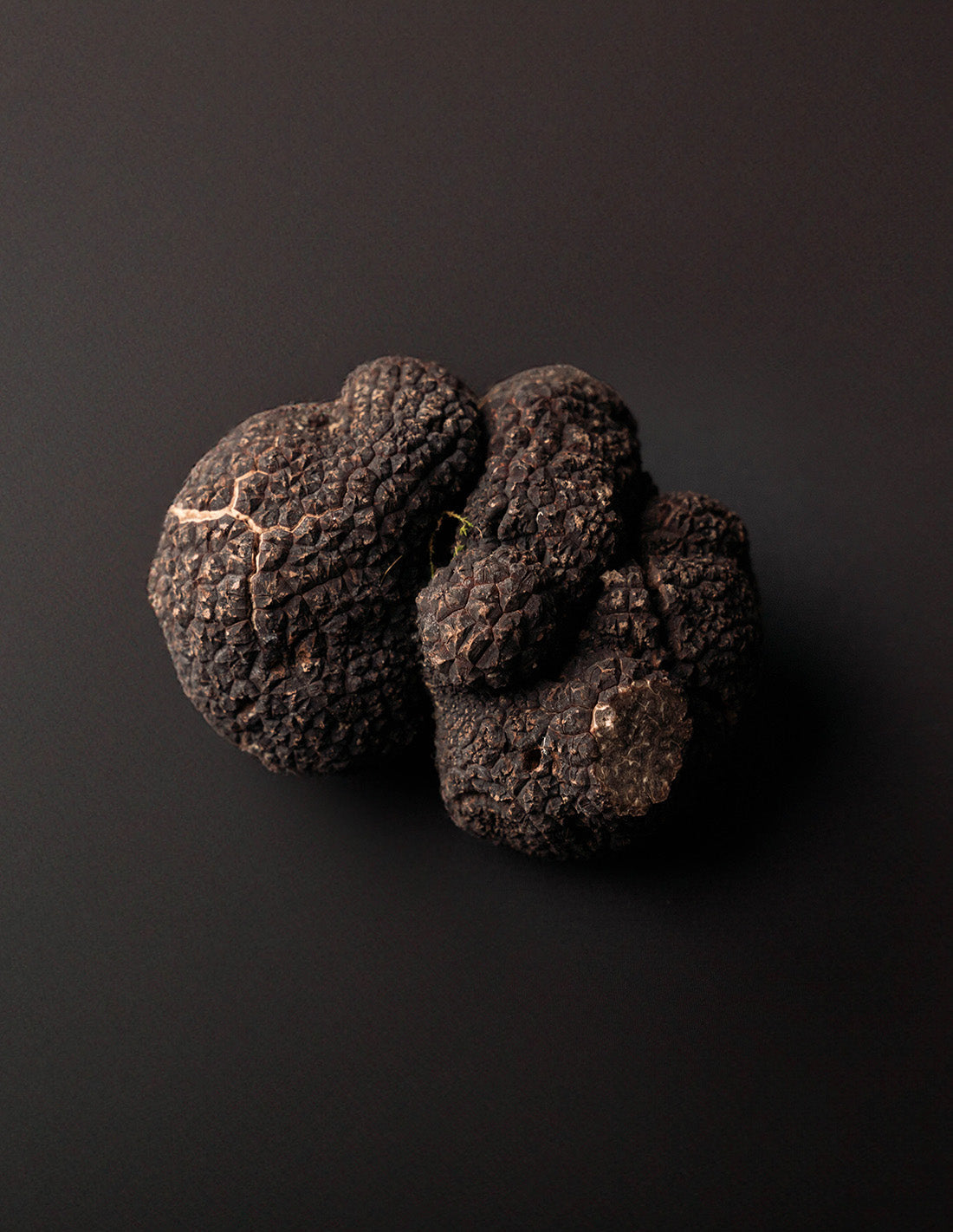 Truffes & Champignons