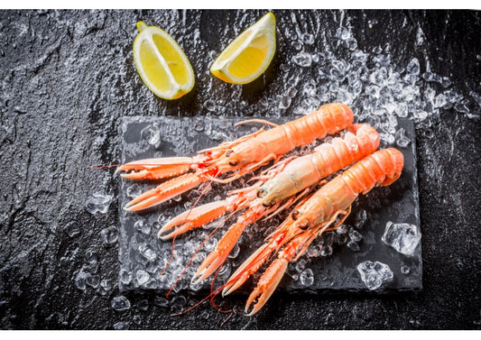 Langoustines cuites calibre 20/30